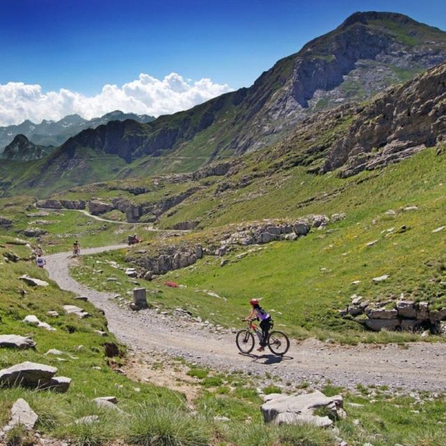 Sedona MTB Festival 2025 Dates Image: Experience the Thrill of Mountain Biking