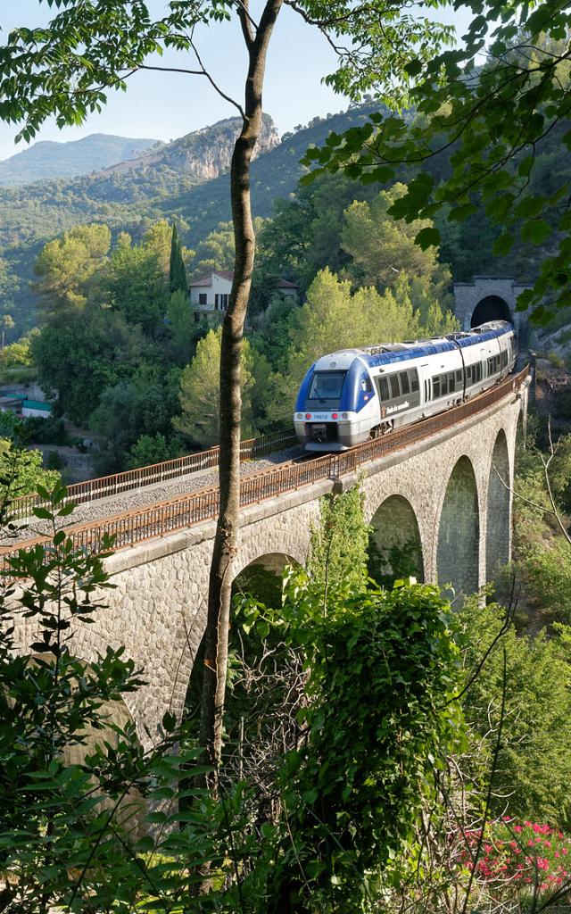 Train-des-Merveilles-a-travers-les-arbres-©Paul-Smit.jpg