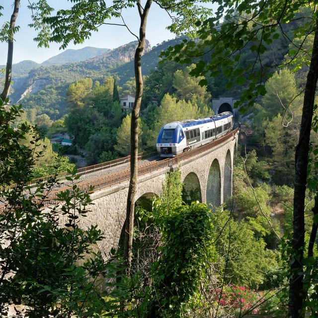 Train Des Merveilles sur un viaduc à Travers Les Arbres