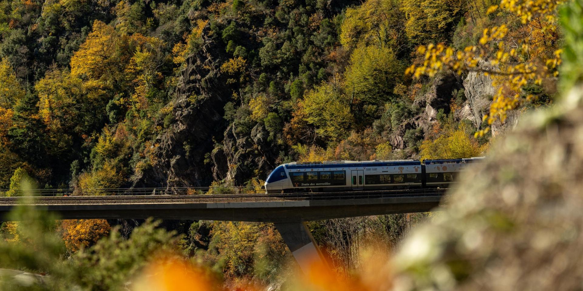 Wonder Train | Menton, Riviera & Merveilles Tourist Office