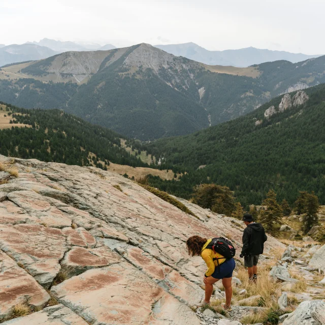 Guided Tour Engravings Fontanalbe Valley Mercantour National Park Pango Visual
