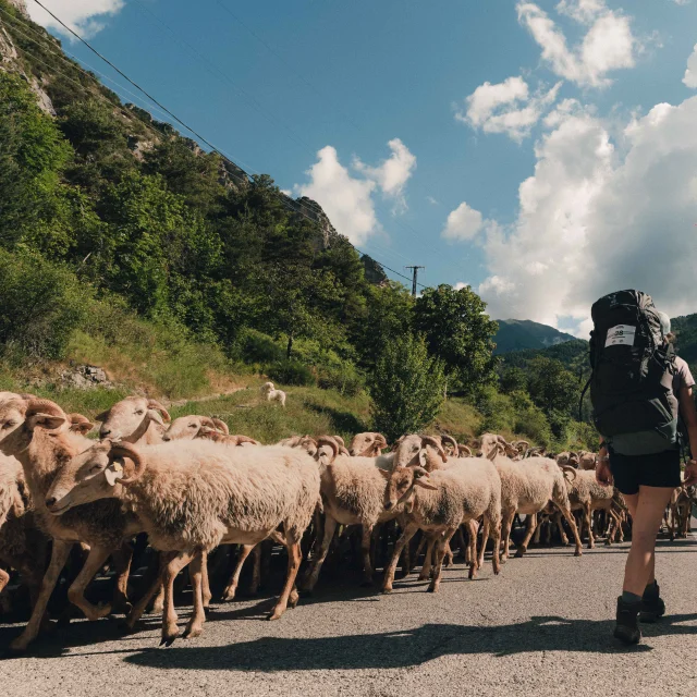 MAD JACQUES ALLIER 23