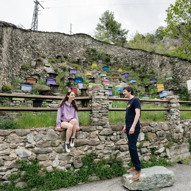 Les Ruches A La Brigue